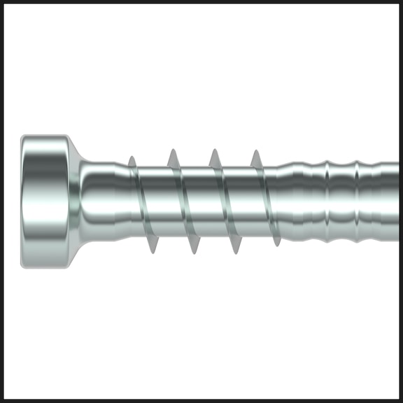 ASSY<SUP>®</SUP>plus 4 A2 CH TERRACE terrace construction screw A2 plain stainless steel partial thread with underhead thread cylinder head - 5