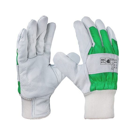 Protective glove winter Fitzner 74379