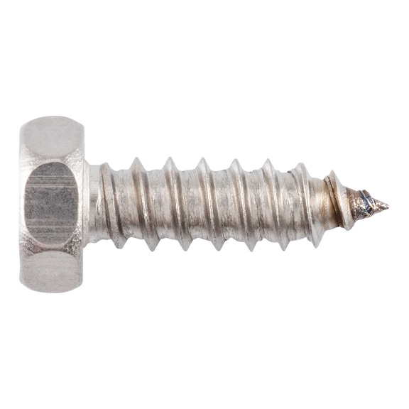 Hexagon tapping screw DIN 7976 A2 stainless steel, plain, shape C (with tip) - 1