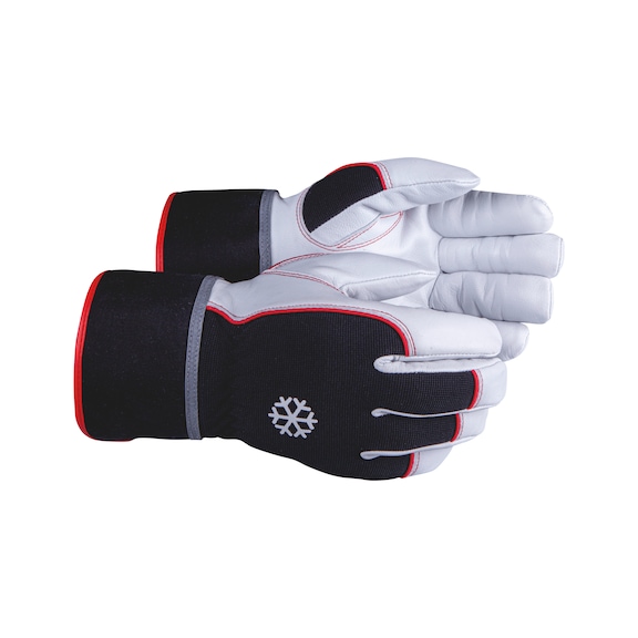 Cut protection glove Boreal Cut