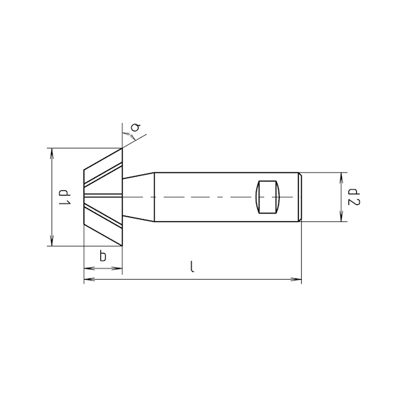 Angle cutter HSCo DIN 1833 D - 2