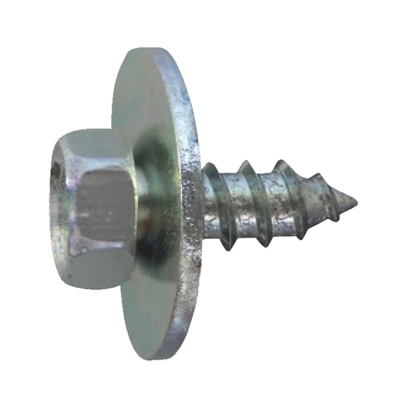 Screw and washer assembly Type 1