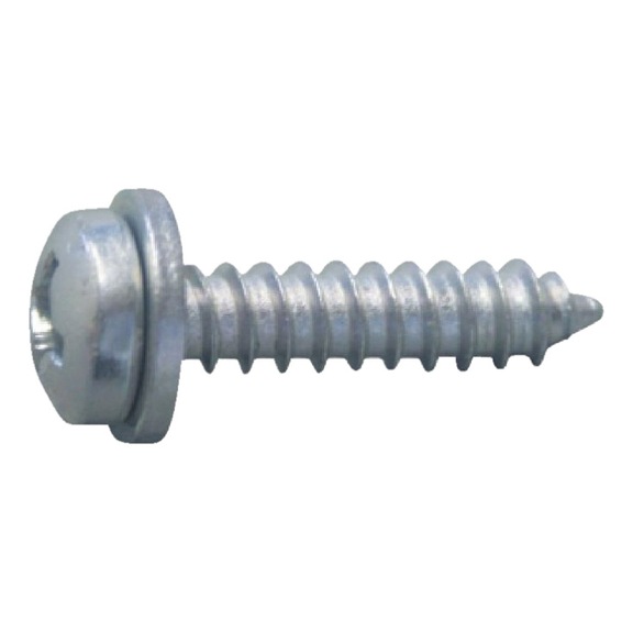 Viti Per Targa Acciaio Inox Nere - Set Da 8 Per Auto E Camion (1/4-14 X 3/4 Pollici)