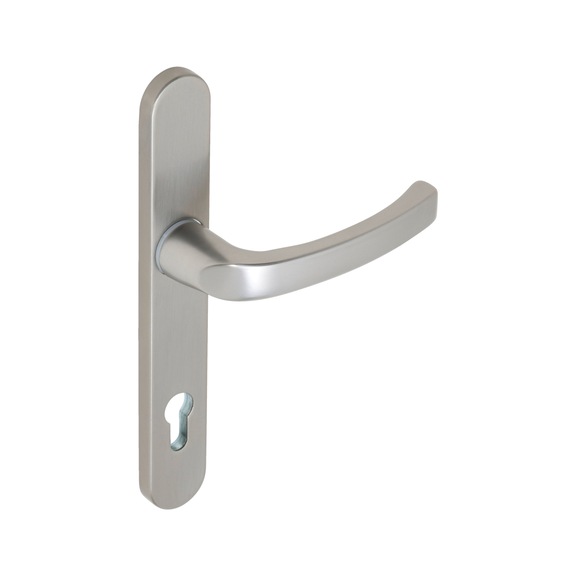 AL 900 door handle on outer plate With CK punch - DH-ALU-AL900-OUTS-H-CK-92-8-210-F9