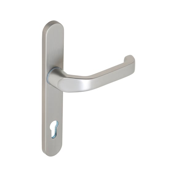 AL 920 door handle on inner plate With CK punch - DH-ALU-AL920-INSIDE-H-CK-92-8-210-F9/(A2