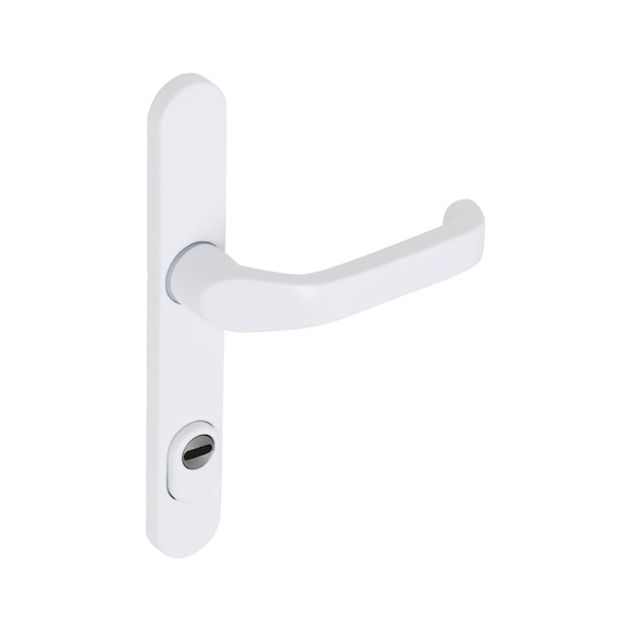 AL 920 door handle on outer plate With cylinder cover - 1