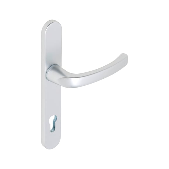 AL 900 door handle on outer plate With CK punch - DH-ALU-AL900-OUTS-H-CK-92-8-210-F1/SILVE