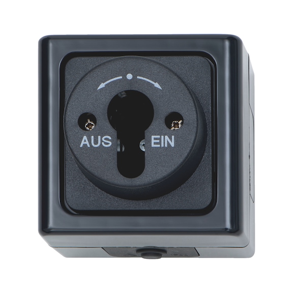 ELMO<SUP>® </SUP>surface-mounted damp-room housing For key switch - SWTCH-SM-KEY-ANTHRACITE-10A-250V