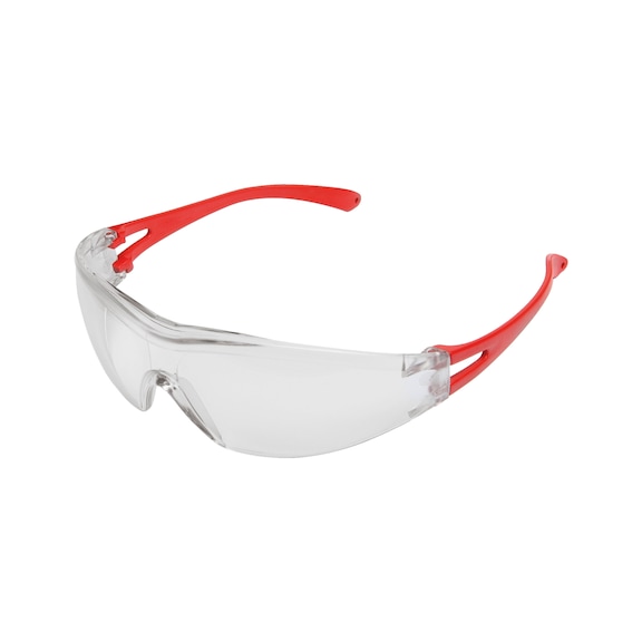 Safety glasses CEPHEUS<SUP>®</SUP> - 1