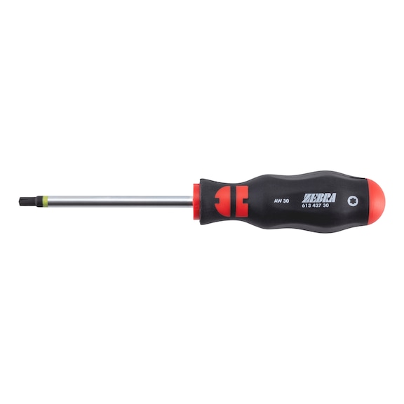 Screwdriver with AW tip - SCRDRIV-AW30X100