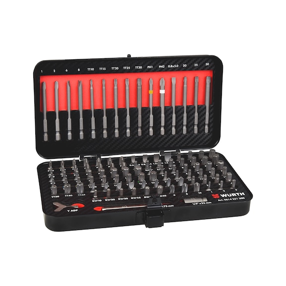 Bit assortment 105 pieces with insert in attractive carbon finish - 7