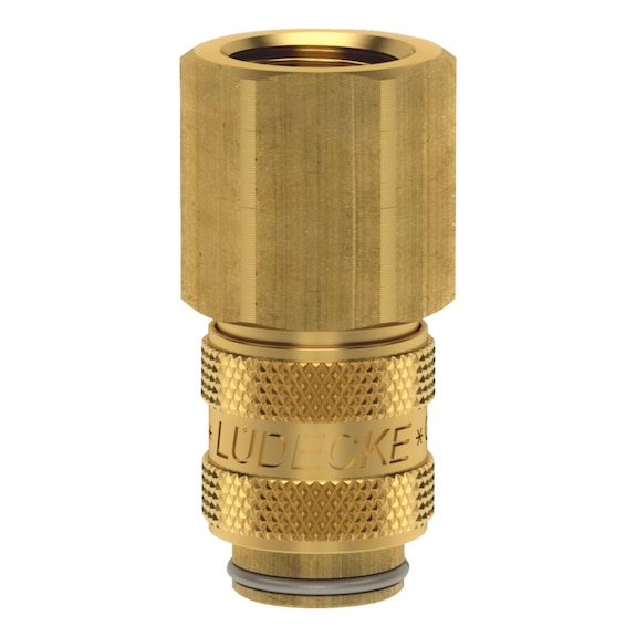 Quick connection coupling for gas with inside thread