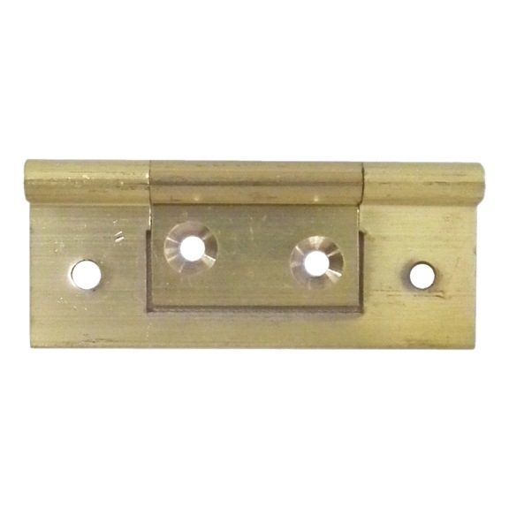 Brass hinge Flush - 1