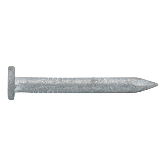 Wire nail hot dip galvanized flat hd smooth shank - 1