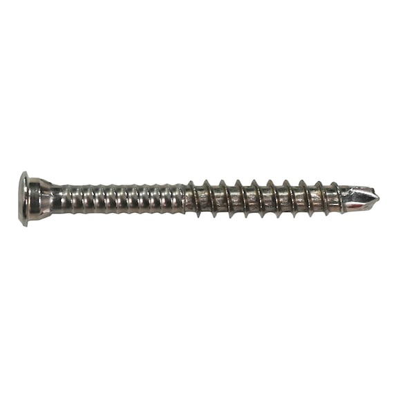 ASSY plus 4 A4 top head special decking construction screw - RW30-PT-6.5X60/33