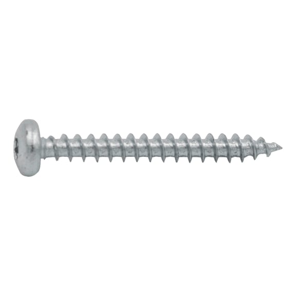 Multi-purpose TX screw, cylinder head, zinc-coated cutting edge