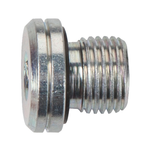 VSTI thread plug, WD seal, BSP male