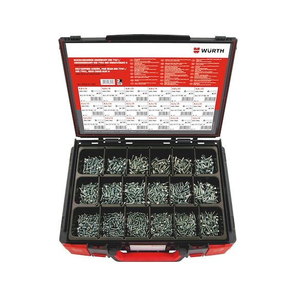 Tapping screws, pan head DIN 7981 / raised countersunk DIN 7983 zinc-plated assortment