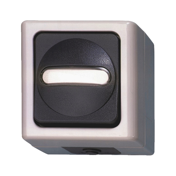 ELMO<SUP>® </SUP>AP damp-room universal switch Off/changeover switch including lighting - 1