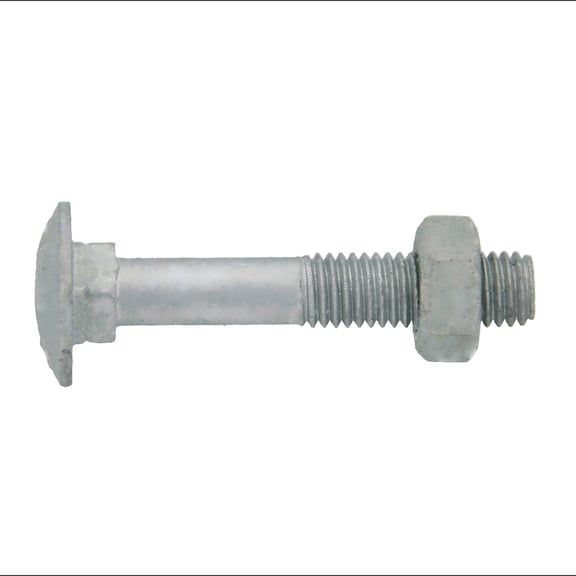 Round head screw with square neck and nut - 1