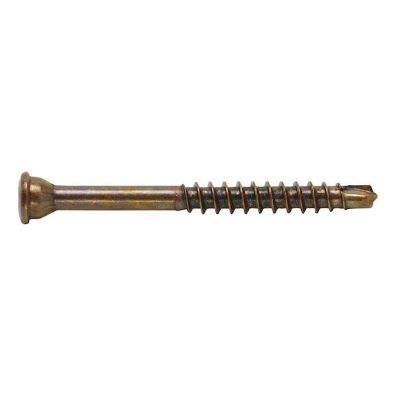 ASSY<SUP>®</SUP>plus 4 A2 TH glass strip screw Stainless steel A2 burnished partial thread top head  - 1