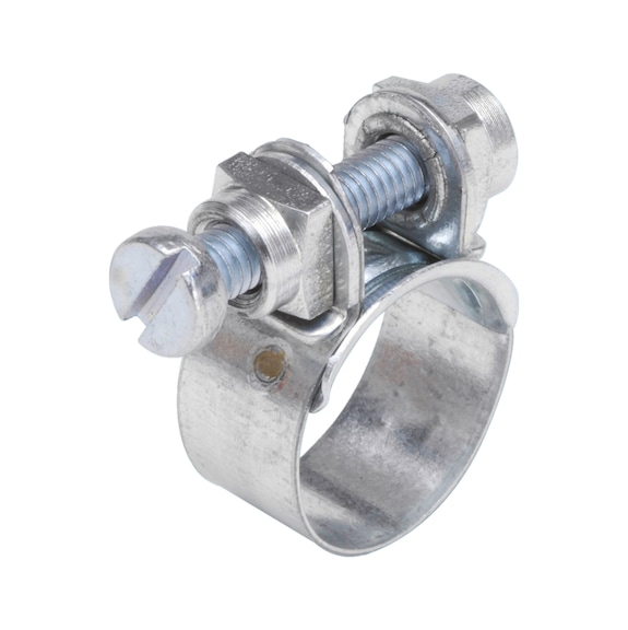 Hose clamp with clamping jaw