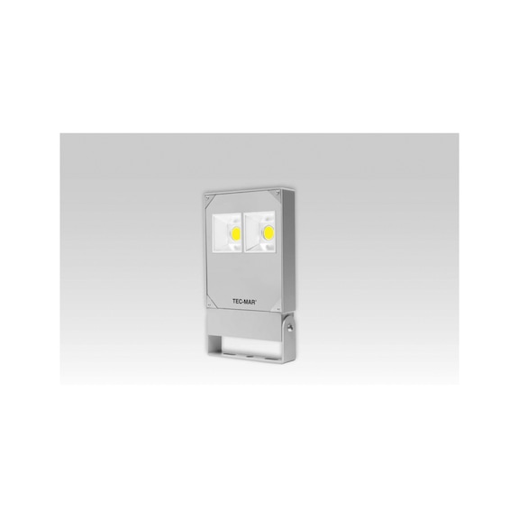 LED-Fassadenstrahler  POLAR - 1