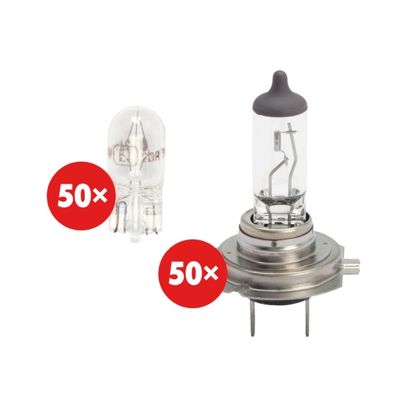 Hal. bulb Longlife + glass socket bulb set 100 pcs