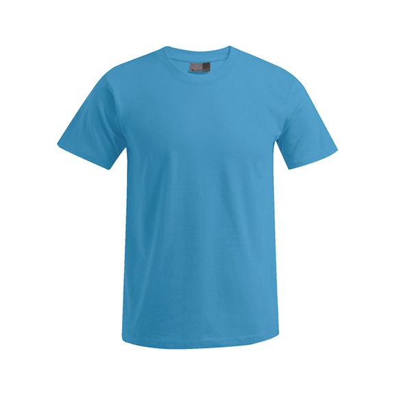 T-shirt Promodoro E3000 - SHIRT-PROMO-PREMT-ALASKANBLUE-E3000-L