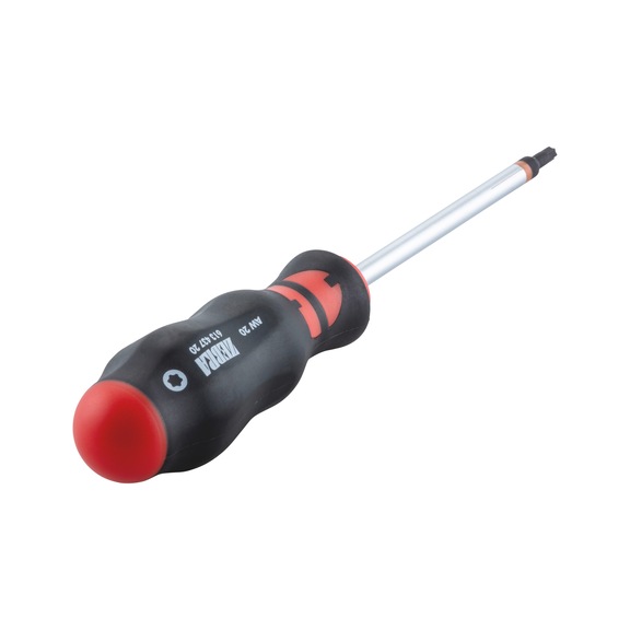 Screwdriver with AW tip - SCRDRIV-AW20X100