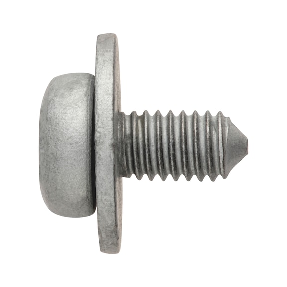 Screw and washer assembly Steel zinc flake silver TC automotive