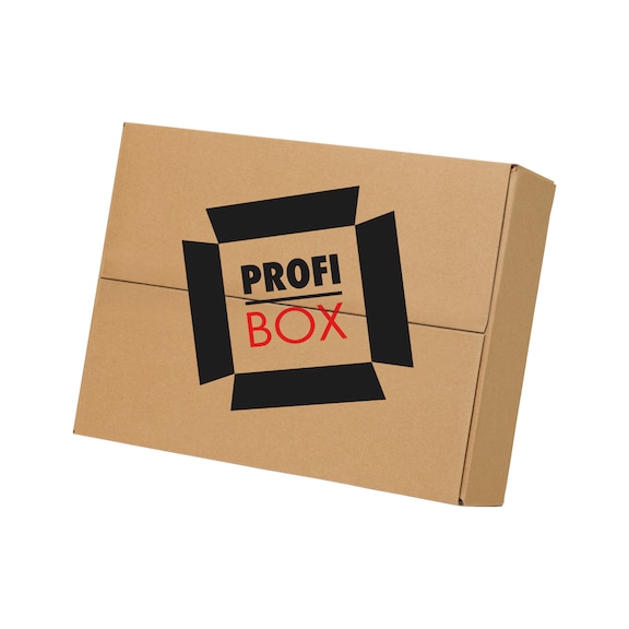 Profi-Box - PROFI-BOX-JUNI 24
