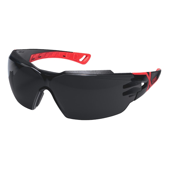 Safety goggles Uvex pheos cx2 IR-ex 5 - SAFETYGLASSES-UVEX-PHEOS-CX2-9198175