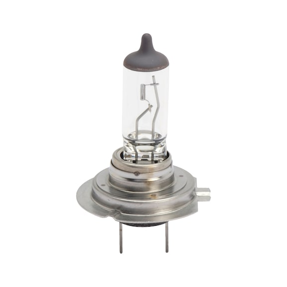 Halogen bulb +50 % For active, safety-conscious drivers - BULB-H7-(+50P)-SILVERCAP-12V-55W