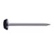 Stainless Steel Nail Flat Head - 2