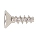 Fastening screw For anchor for hinge cup - 1