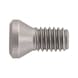 Screw for ISO S clamping system