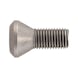 Screw for ISO S clamping system