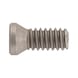 Screw for ISO S clamping system