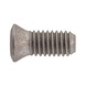 Screw for ISO S clamping system