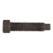 Hexagonal bolt with pin and small hexagon - SCR-HEX-DIN561-8.8-WS8-M6X40 - 1
