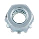 Hexagonal nut with serrated washer - 1