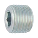Hexagon socket screw-in nut, tapered thread DIN 906, steel, zinc-plated, blue passivated (A2K) - 1