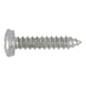 Number plate screw - SCR-PANHD-NRPLT-(A2K)-4,8X16 - 1