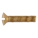 Slotted raised countersunk head screw - 1