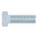 Hexagonal bolt with threading up to head - SCR-HEX-ISO4018-4.6-WS16-(A2K)-M10X30 - 1