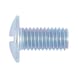 Slotted round head screw W-0231, steel 4.8, zinc-plated, with slot - 1