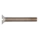 Slotted countersunk head screw DIN 963, steel 4.8, nickel-plated (E2J) - 1