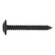 Pan head tapping screw, shape C with flange - SCR-PANHD-FLG-C-AW25-(DSS)-4,8X13 - 1