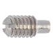 Slotted set screw with pin DIN 417, A1 stainless steel, plain - SCR-DOGPT-DIN417-A1-SL-M4X8 - 1